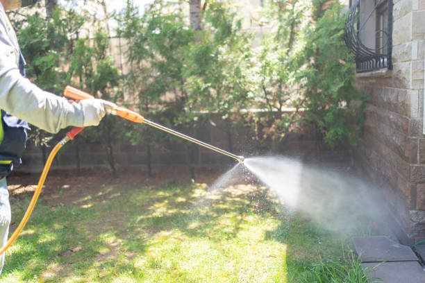 Best Pest Inspection Near Me  in Covington, VA