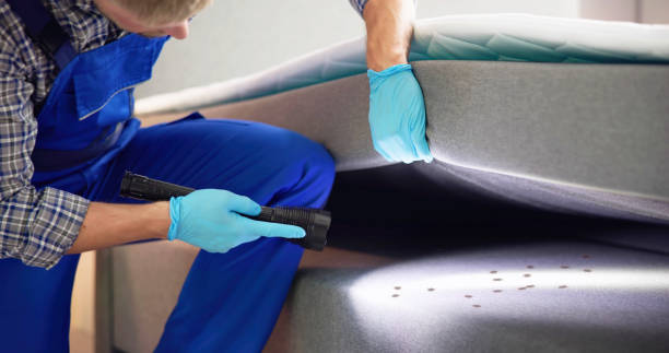 Best Local Pest Control Services  in Covington, VA