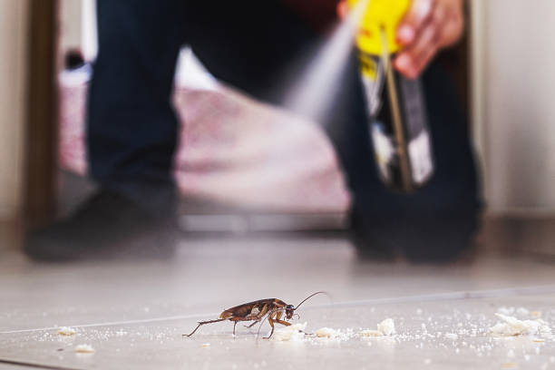Best Pest Removal Services  in Covington, VA