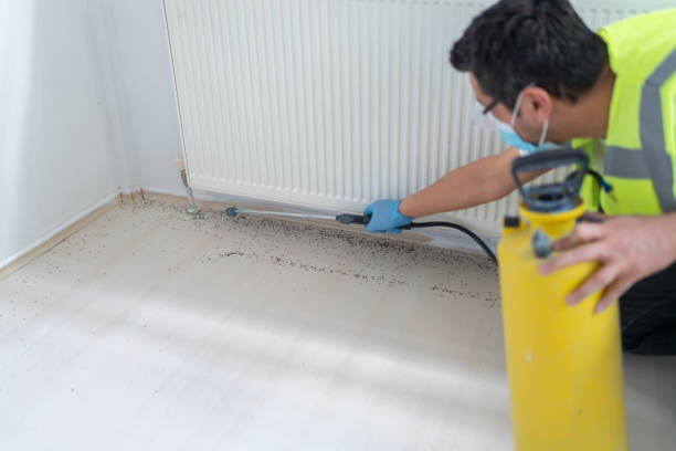Best Affordable Pest Control Services  in Covington, VA